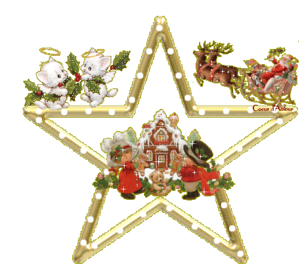 stelle_di_natale.gif